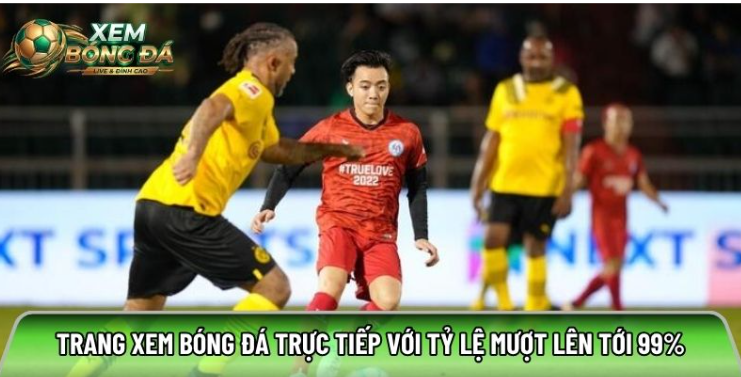 Xem bóng đá tại Xembongda.com.co với tỷ lệ mượt lên tới 99%